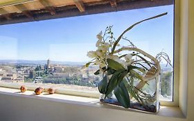 Rinidia - Siena Centro